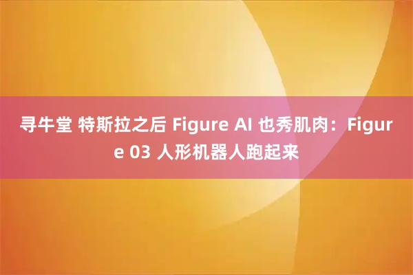 寻牛堂 特斯拉之后 Figure AI 也秀肌肉：Figure 03 人形机器人跑起来